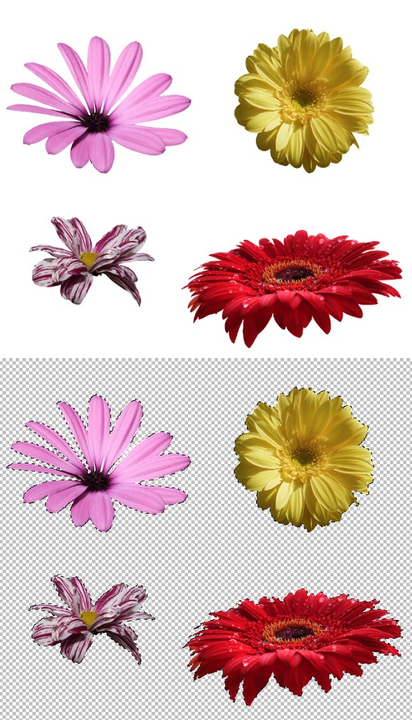 Super Easy and Cool Flower Text Effect in Photoshop