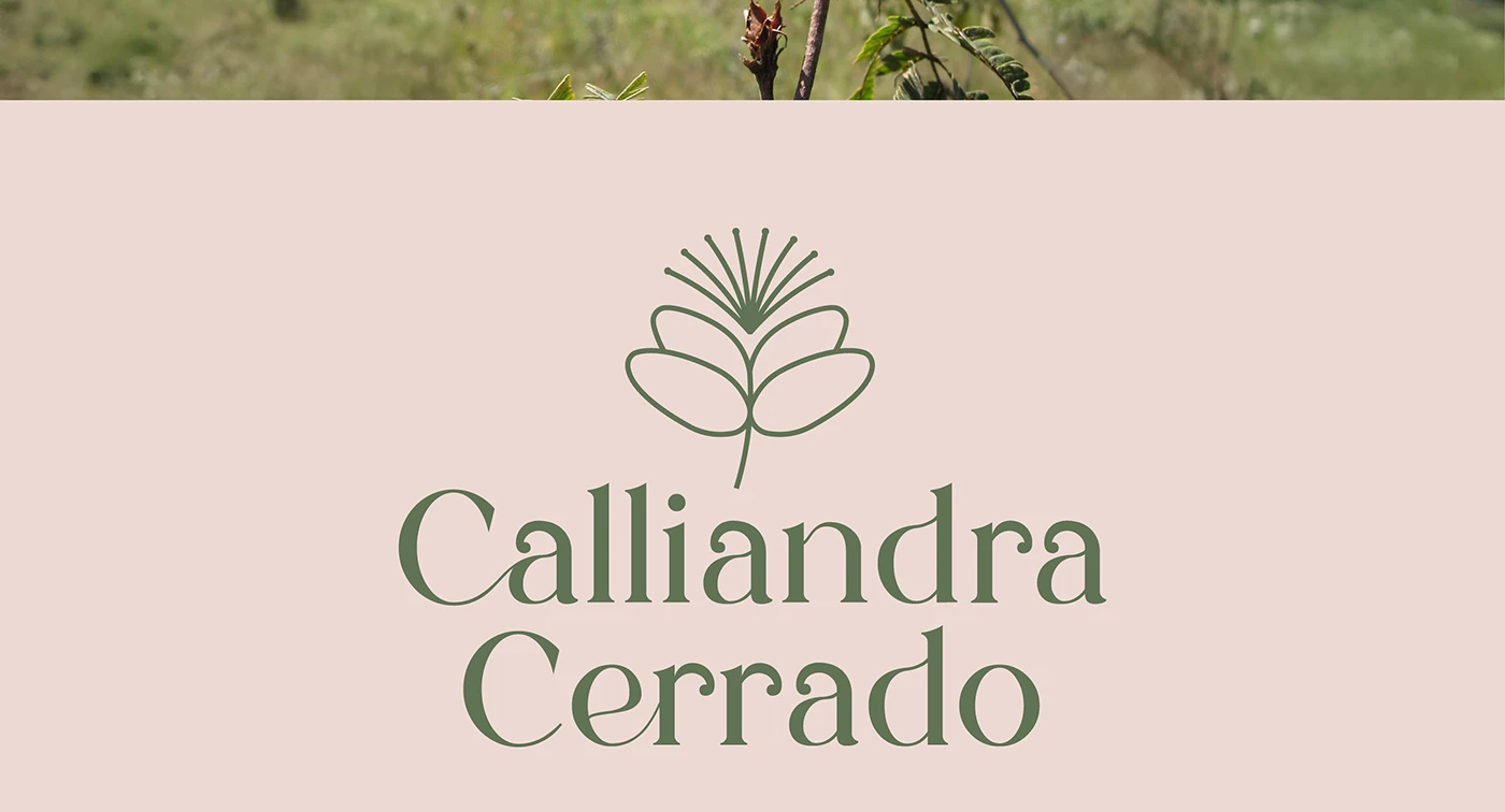 Branding color palette with sage green and terracotta used in identity system