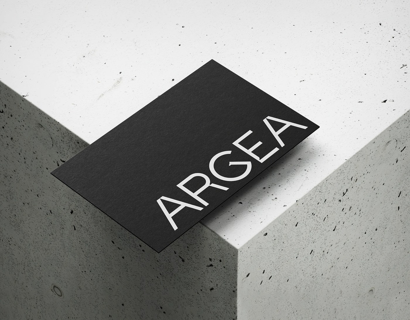 Argea brand identity design ring-bound brand guidelines book with chrome hardware