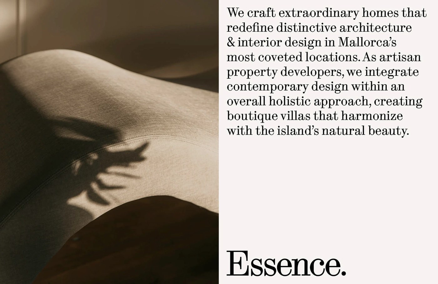 Essence visual identity system digital responsive web layout