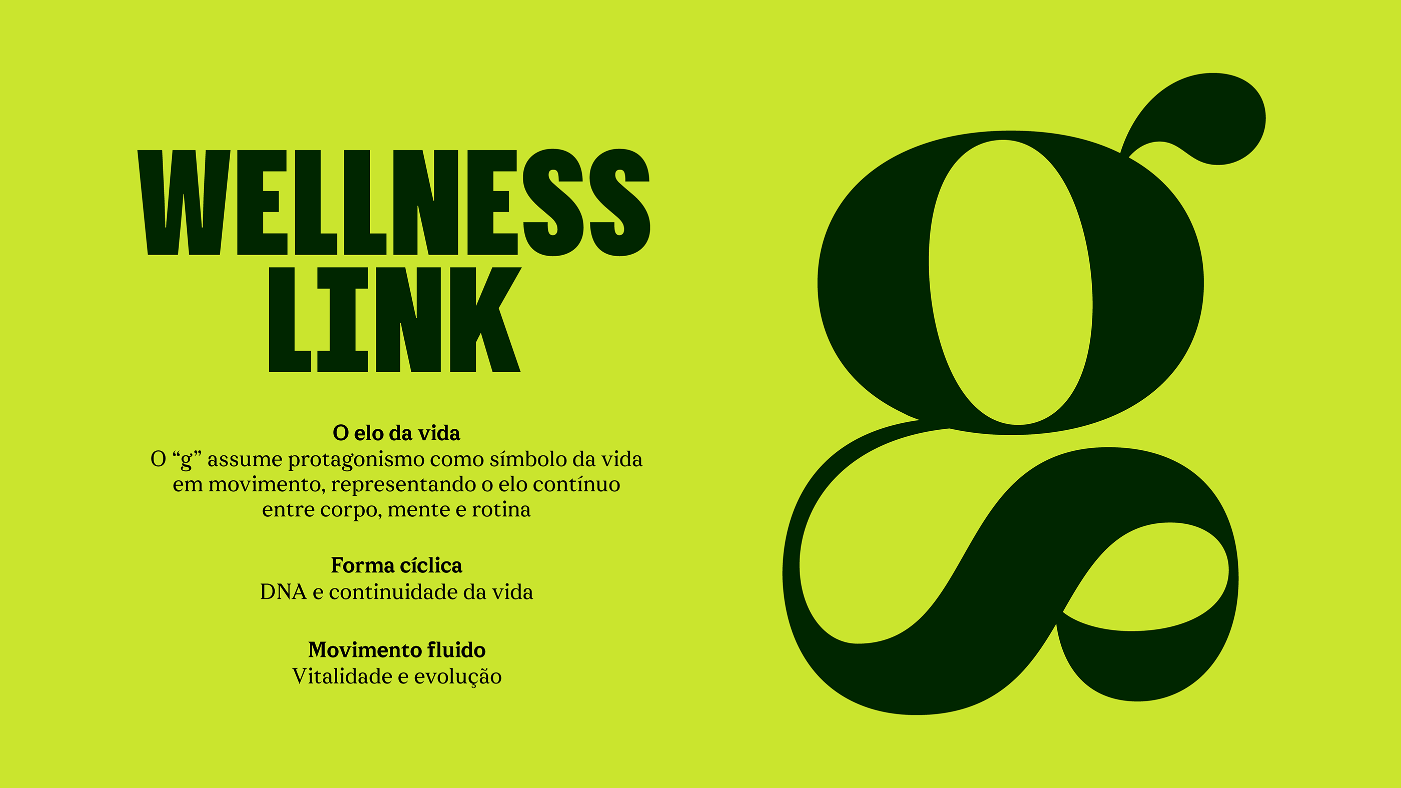 brand identity system applied to supplement packaging and dropper bottles with a clean, wellness-focused aesthetic