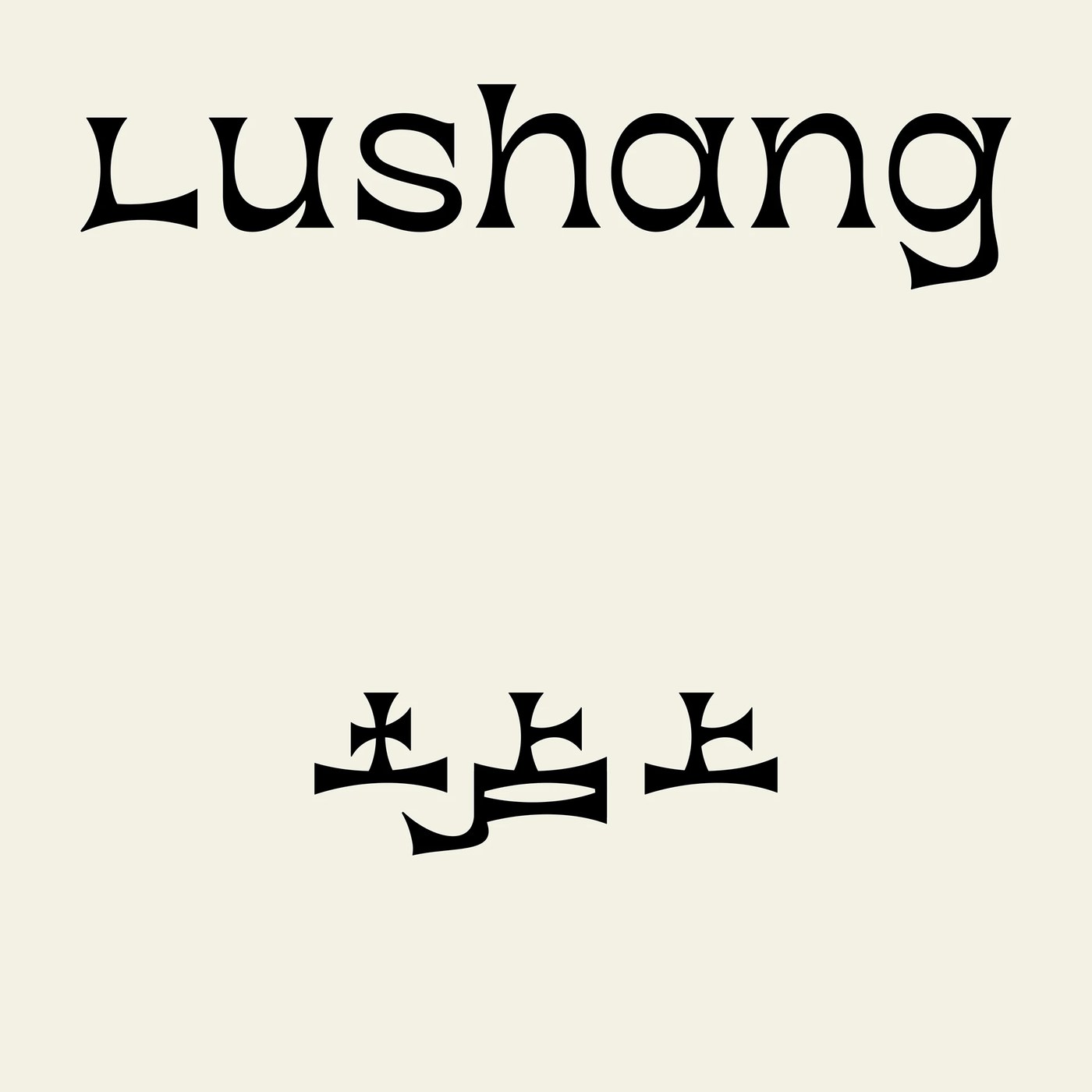 Lushang BRANDING & PACKAGING detail view — packaging design by taoSTUDIO 张韬