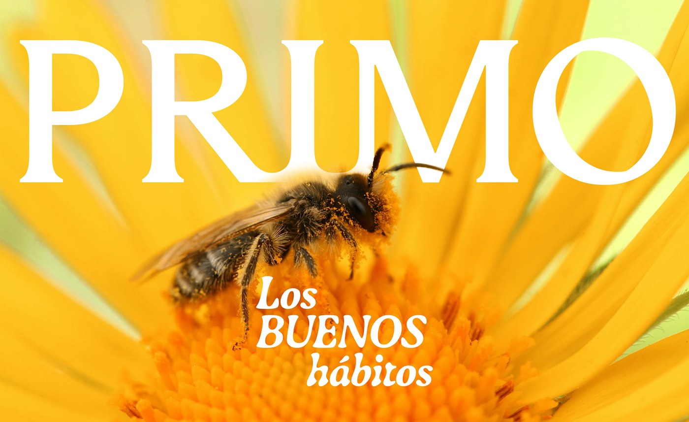 Primo Honey hero shot — packaging design by Brandsummit Studio