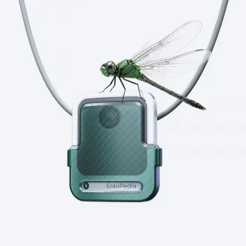 EntoPedia: Wearable Product Design Meets Nature
