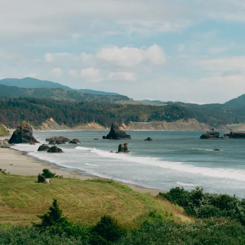 Summer Road Trip - Oregon Coast Highway 