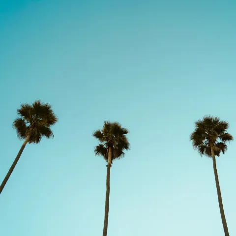 Capturing California: A Summer Break Photography Journey