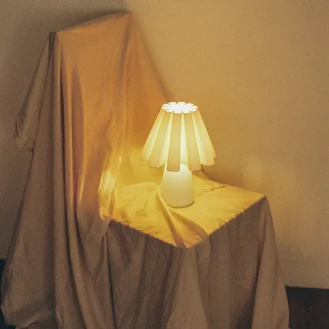 Ruff Lamp: 3D Printed Lamp by Mina Wright