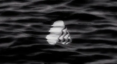 Beautiful Liquify Logo Animation in After Effects